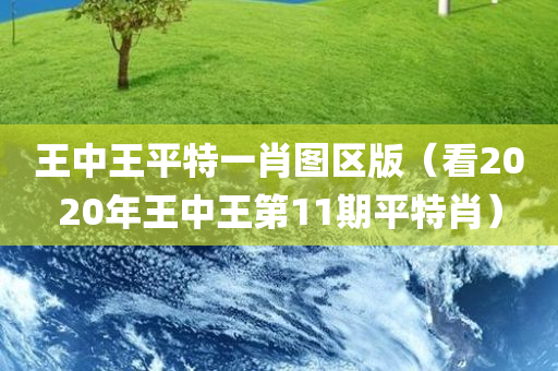 王中王平特一肖图区版（看2020年王中王第11期平特肖）