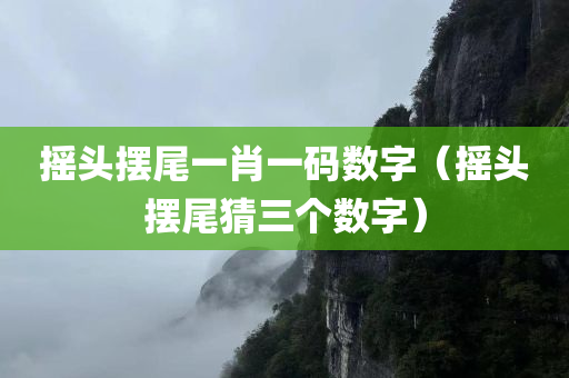 摇头摆尾一肖一码数字（摇头摆尾猜三个数字）