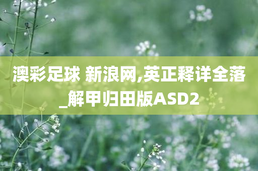 澳彩足球 新浪网,英正释详全落_解甲归田版ASD2