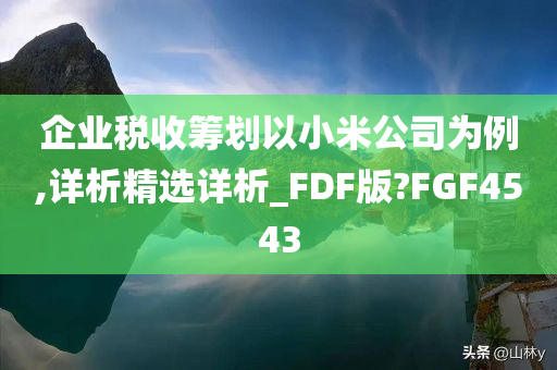 企业税收筹划以小米公司为例,详析精选详析_FDF版?FGF4543