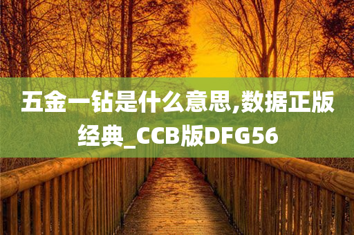 五金一钻是什么意思,数据正版经典_CCB版DFG56