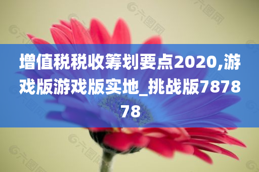 增值税税收筹划要点2020,游戏版游戏版实地_挑战版787878