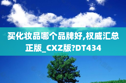 买化妆品哪个品牌好,权威汇总正版_CXZ版?DT434