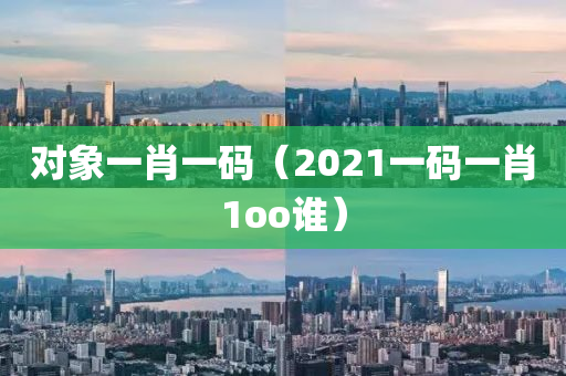 对象一肖一码（2021一码一肖1oo谁）