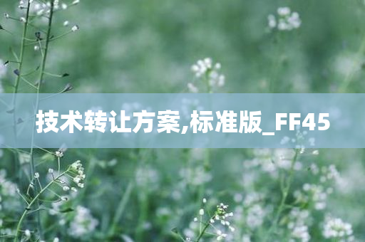 技术转让方案,标准版_FF45