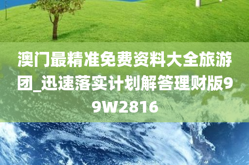 澳门最精准免费资料大全旅游团_迅速落实计划解答理财版99W2816