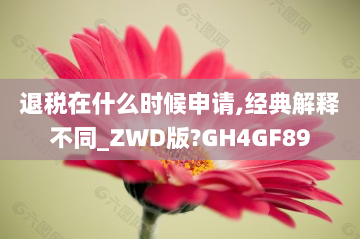 退税在什么时候申请,经典解释不同_ZWD版?GH4GF89