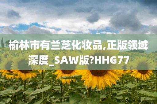 榆林市有兰芝化妆品,正版领域深度_SAW版?HHG77