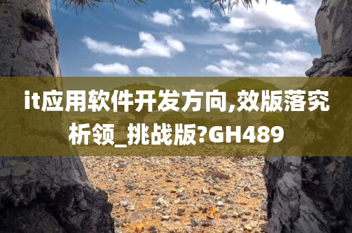 it应用软件开发方向,效版落究析领_挑战版?GH489