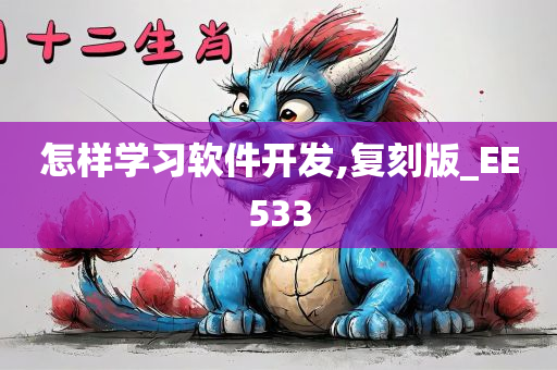 怎样学习软件开发,复刻版_EE533