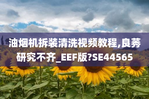 油烟机拆装清洗视频教程,良莠研究不齐_EEF版?SE44565