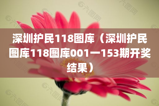 深圳护民118图库（深圳护民图库118图库001一153期开奖结果）