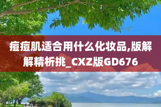 痘痘肌适合用什么化妆品,版解解精析挑_CXZ版GD676