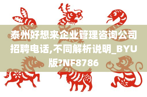 泰州好想来企业管理咨询公司招聘电话,不同解析说明_BYU版?NF8786