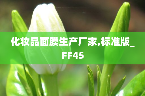 化妆品面膜生产厂家,标准版_FF45