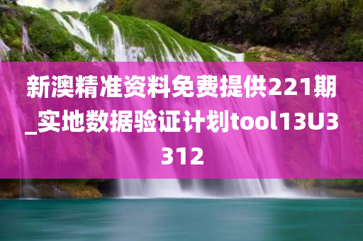 新澳精准资料免费提供221期_实地数据验证计划tool13U3312