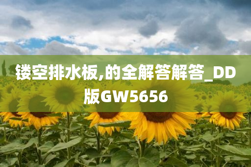 镂空排水板,的全解答解答_DD版GW5656