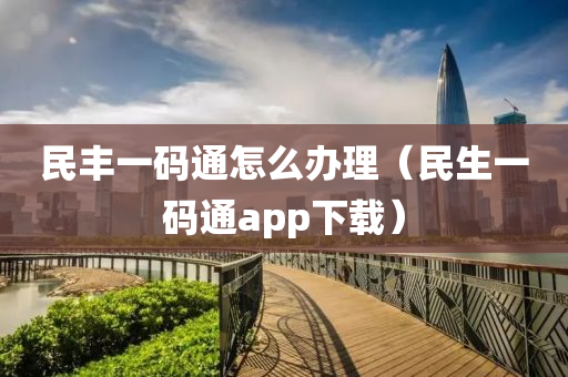 民丰一码通怎么办理（民生一码通app下载）