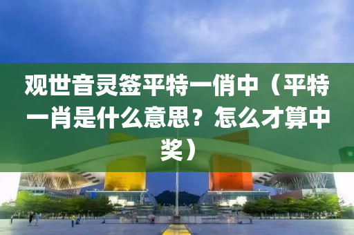 观世音灵签平特一俏中（平特一肖是什么意思？怎么才算中奖）