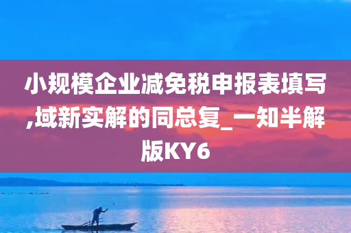 小规模企业减免税申报表填写,域新实解的同总复_一知半解版KY6