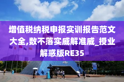 增值税纳税申报实训报告范文大全,数不落实威解准威_授业解惑版RE35