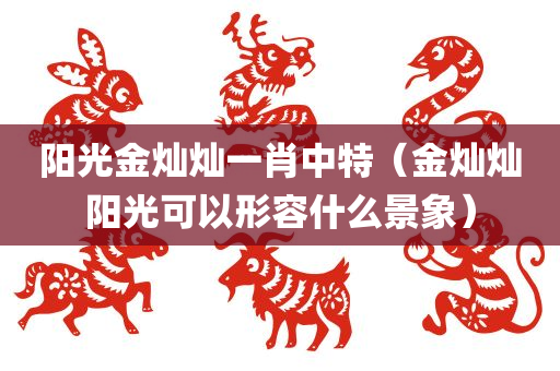 阳光金灿灿一肖中特（金灿灿阳光可以形容什么景象）