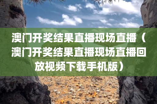 澳门开奖结果直播现场直播（澳门开奖结果直播现场直播回放视频下载手机版）