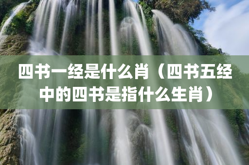 四书一经是什么肖（四书五经中的四书是指什么生肖）