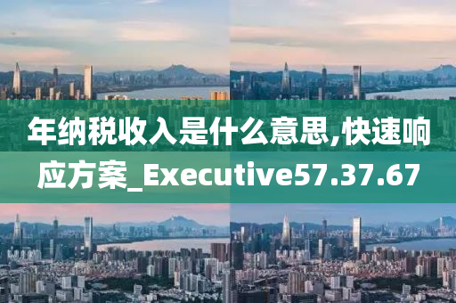 年纳税收入是什么意思,快速响应方案_Executive57.37.67