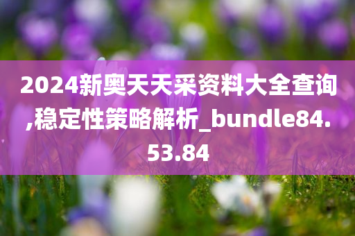 2024新奥天天采资料大全查询,稳定性策略解析_bundle84.53.84