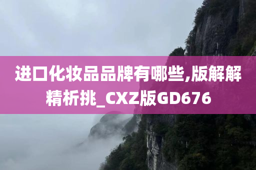 进口化妆品品牌有哪些,版解解精析挑_CXZ版GD676