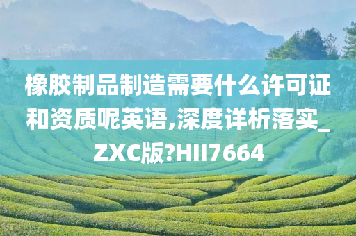 橡胶制品制造需要什么许可证和资质呢英语,深度详析落实_ZXC版?HII7664