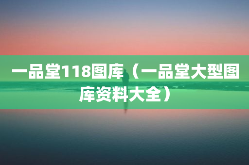 一品堂118图库（一品堂大型图库资料大全）