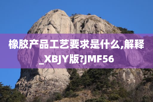 橡胶产品工艺要求是什么,解释_XBJY版?JMF56