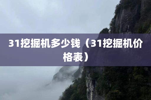 31挖掘机多少钱（31挖掘机价格表）