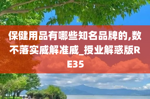 保健用品有哪些知名品牌的,数不落实威解准威_授业解惑版RE35