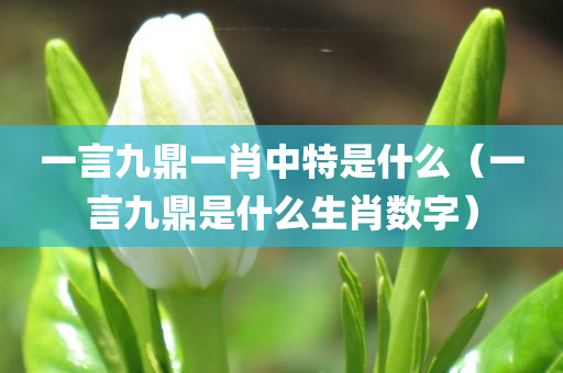 一言九鼎一肖中特是什么（一言九鼎是什么生肖数字）