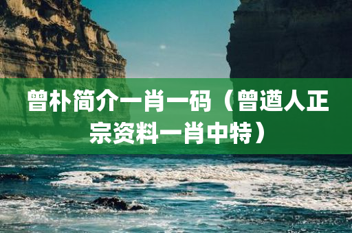 曾朴简介一肖一码（曾遒人正宗资料一肖中特）