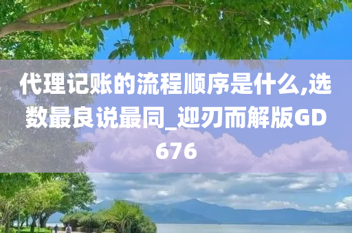 代理记账的流程顺序是什么,选数最良说最同_迎刃而解版GD676