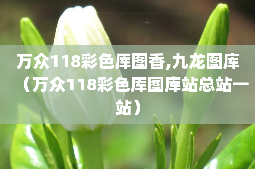 万众118彩色厍图香,九龙图库（万众118彩色厍图库站总站一站）