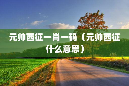 元帅西征一肖一码（元帅西征什么意思）