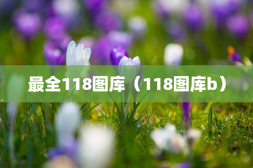 最全118图库（118图库b）