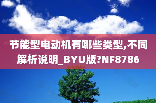 节能型电动机有哪些类型,不同解析说明_BYU版?NF8786