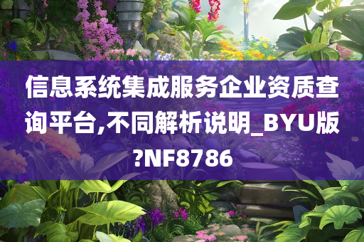 信息系统集成服务企业资质查询平台,不同解析说明_BYU版?NF8786