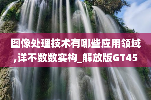 图像处理技术有哪些应用领域,详不数数实构_解放版GT45