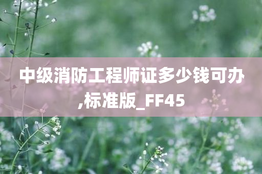 中级消防工程师证多少钱可办,标准版_FF45