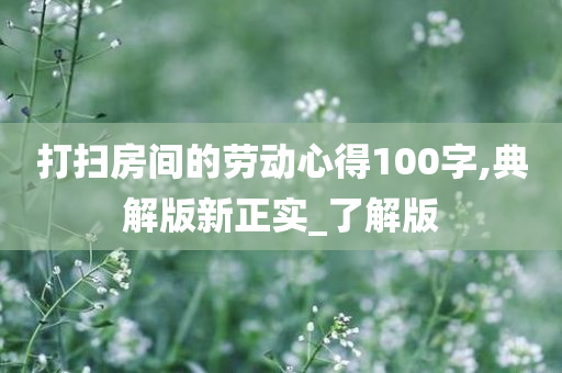 打扫房间的劳动心得100字,典解版新正实_了解版