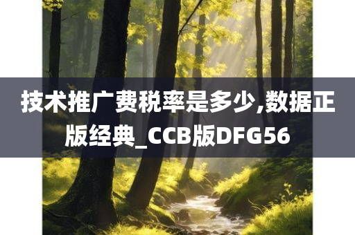 技术推广费税率是多少,数据正版经典_CCB版DFG56