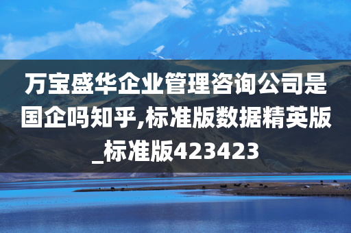 万宝盛华企业管理咨询公司是国企吗知乎,标准版数据精英版_标准版423423