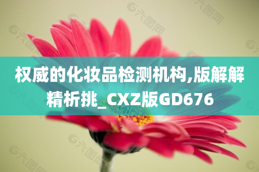 权威的化妆品检测机构,版解解精析挑_CXZ版GD676